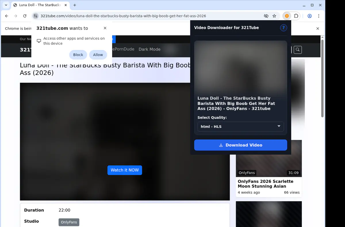321tube Video Downloader browser extension screenshot 3